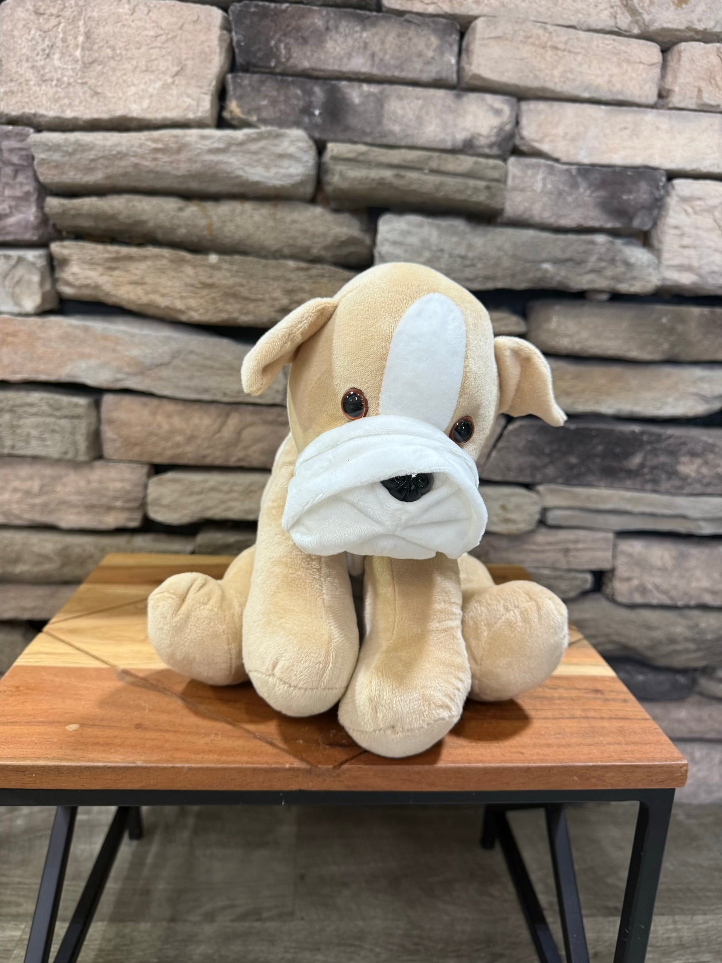 WARMIES BULLDOG