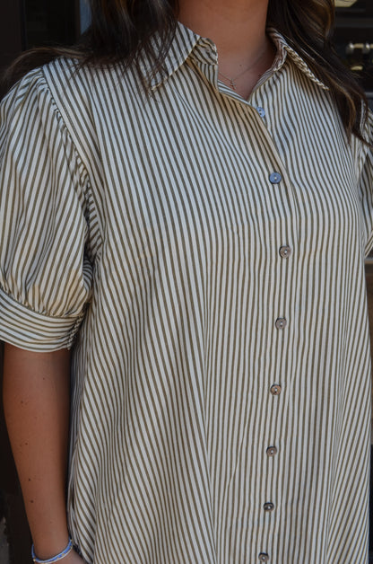 Olive Stripe Lace Dress